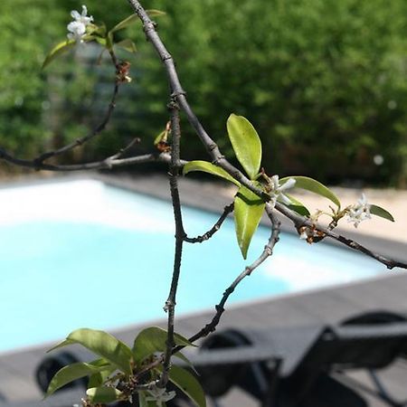 Les Centaurines Bed & Breakfast Saint-Siffret Bagian luar foto